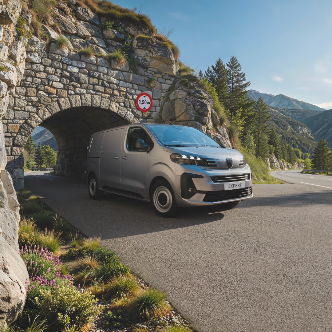 PEUGEOT EXPERT handige hoogte tot 1.90 m