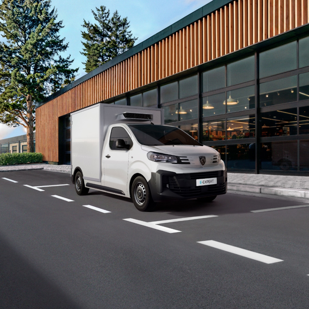 PEUGEOT E-Expert koelwagen